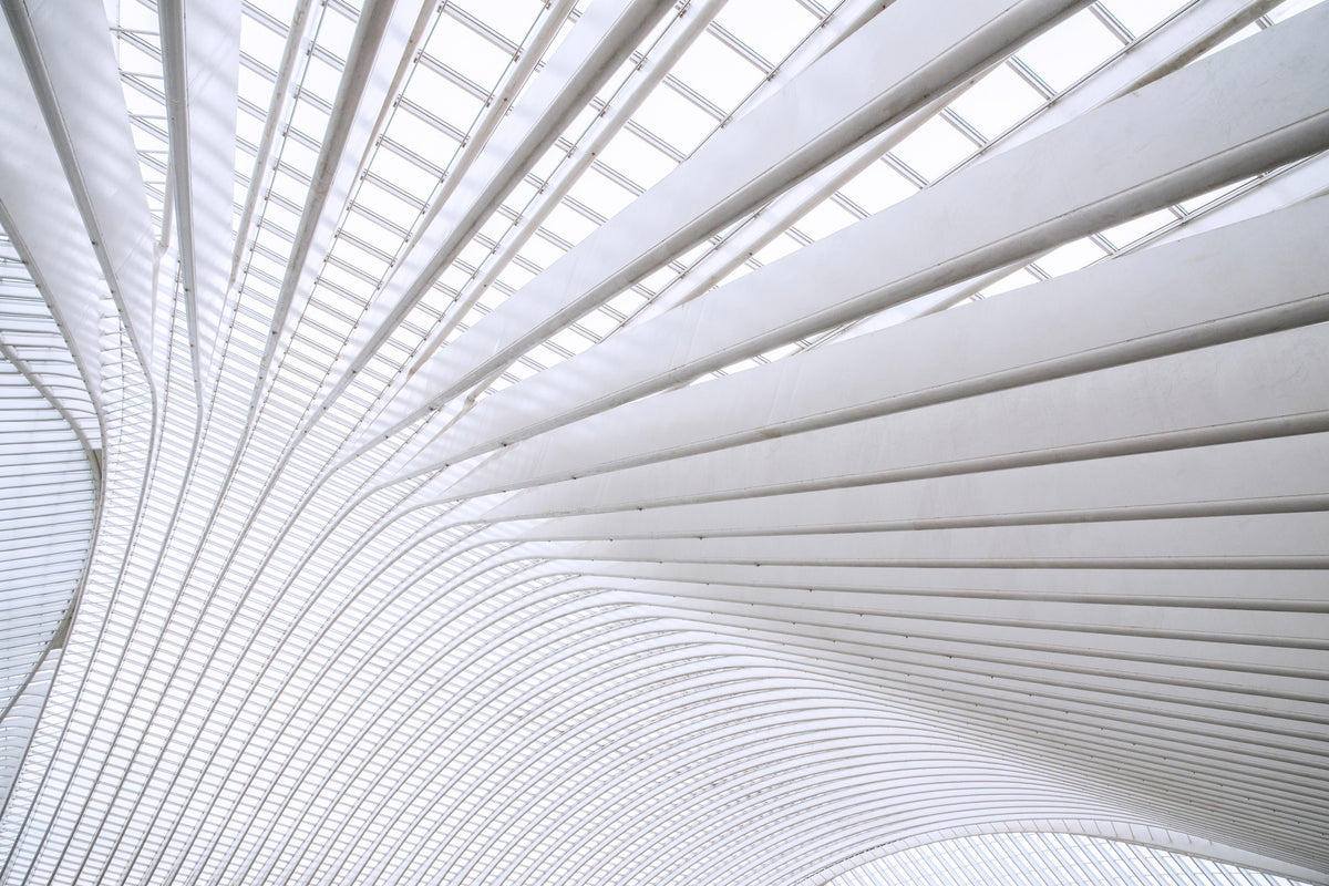 framedcanvas-print-curvature-x
