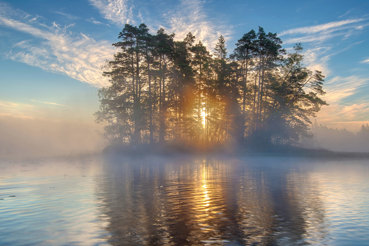 framedposter-print-morning-light-xmh