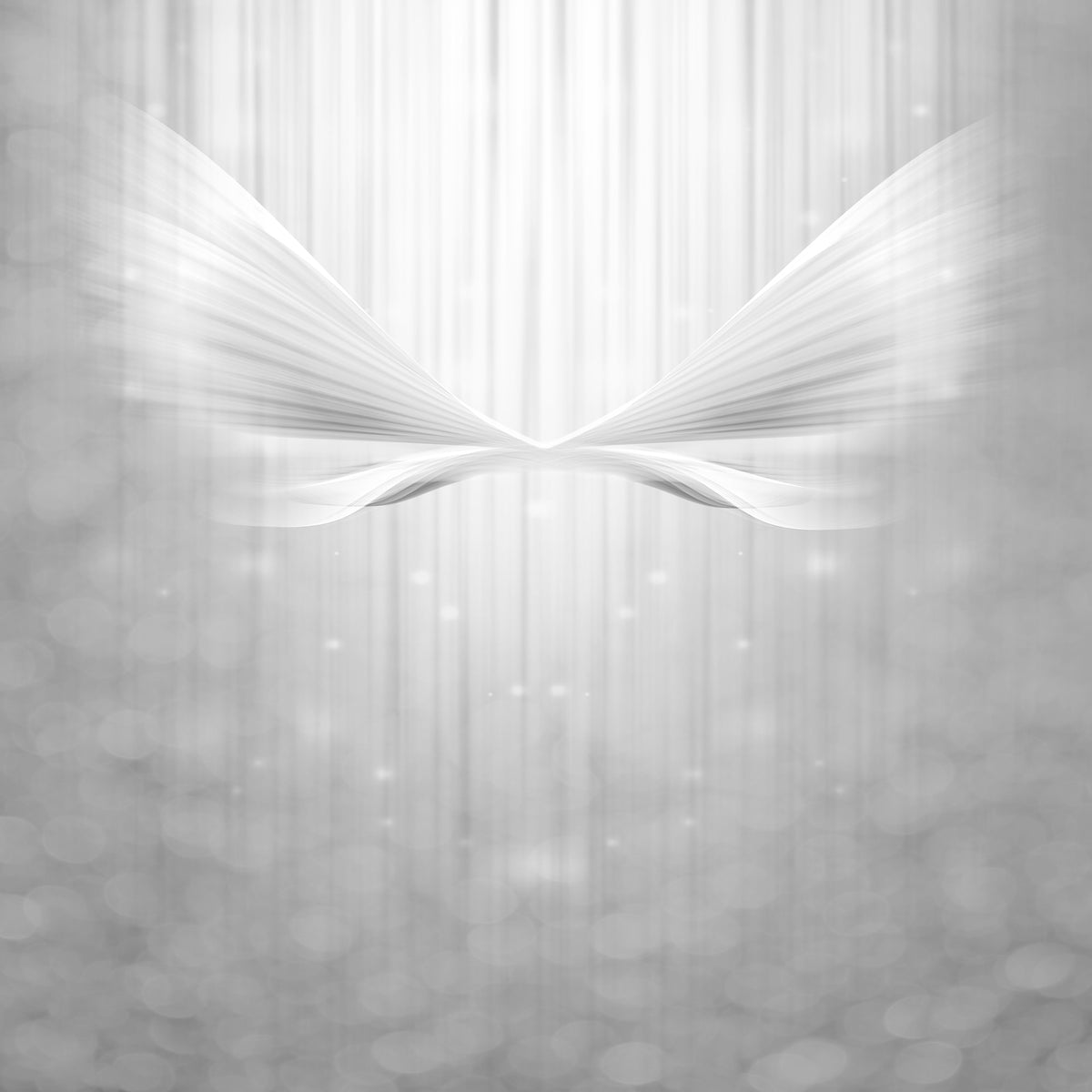 4-piece-aluminium-print-angel-wings