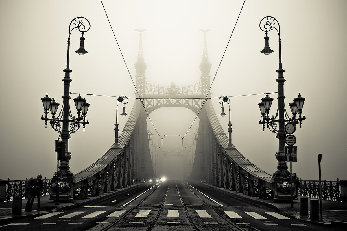 aluminium-print-the-bridge-x