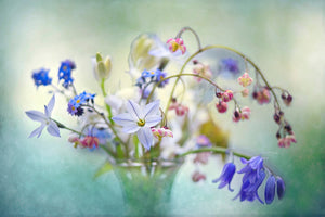 poster-print-spring-treasures-x