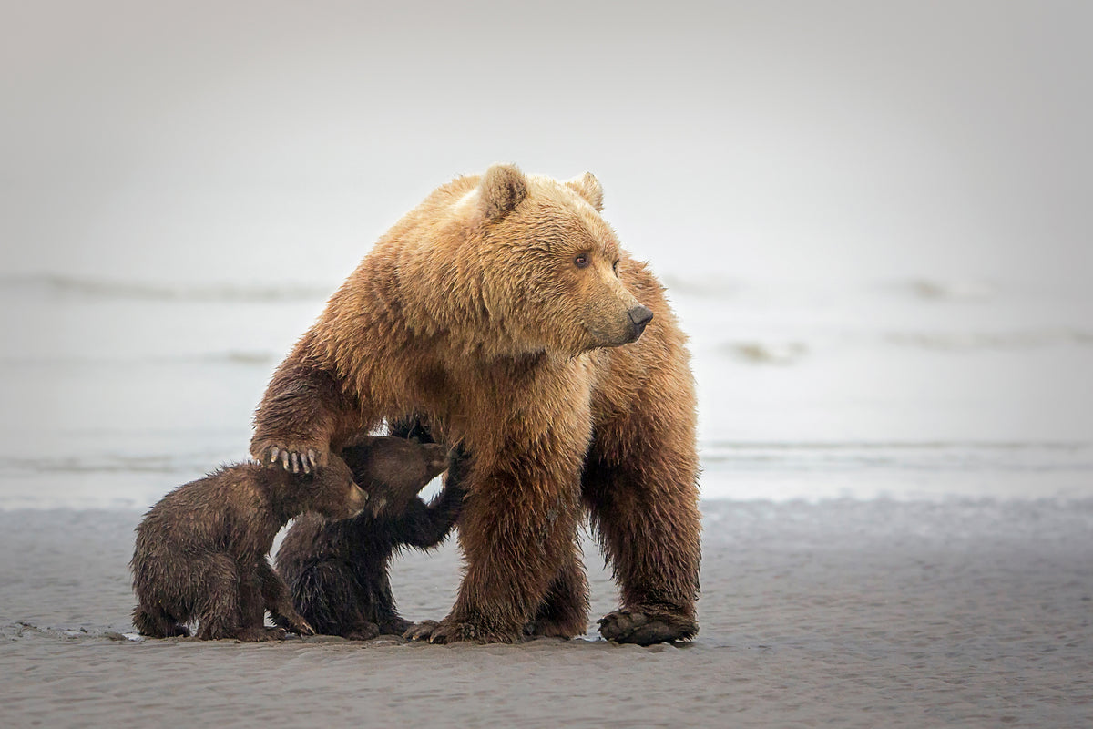 canvas-print-family-time