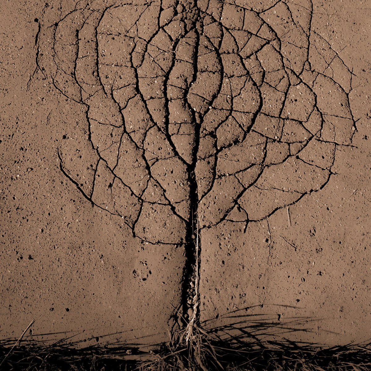 9-piece-canvas-print-asphalt-tree