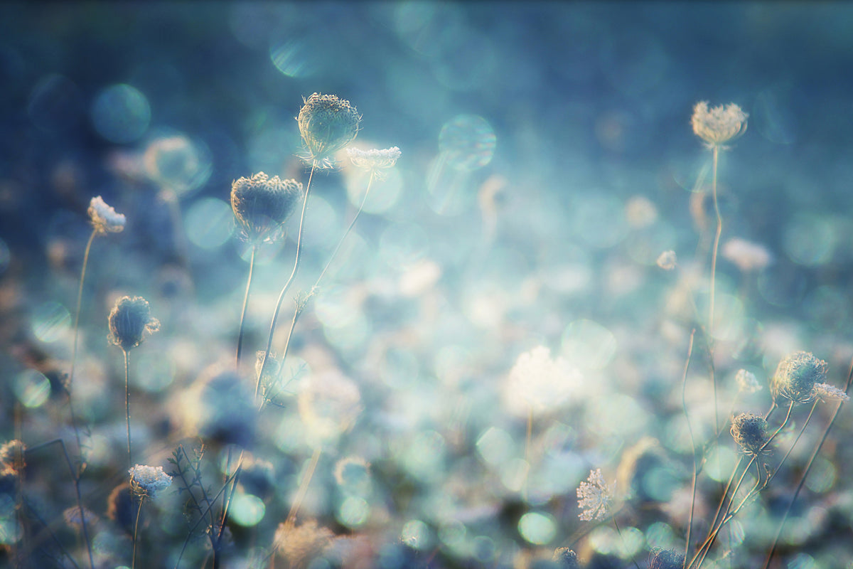 canvas-print-diamonds-x