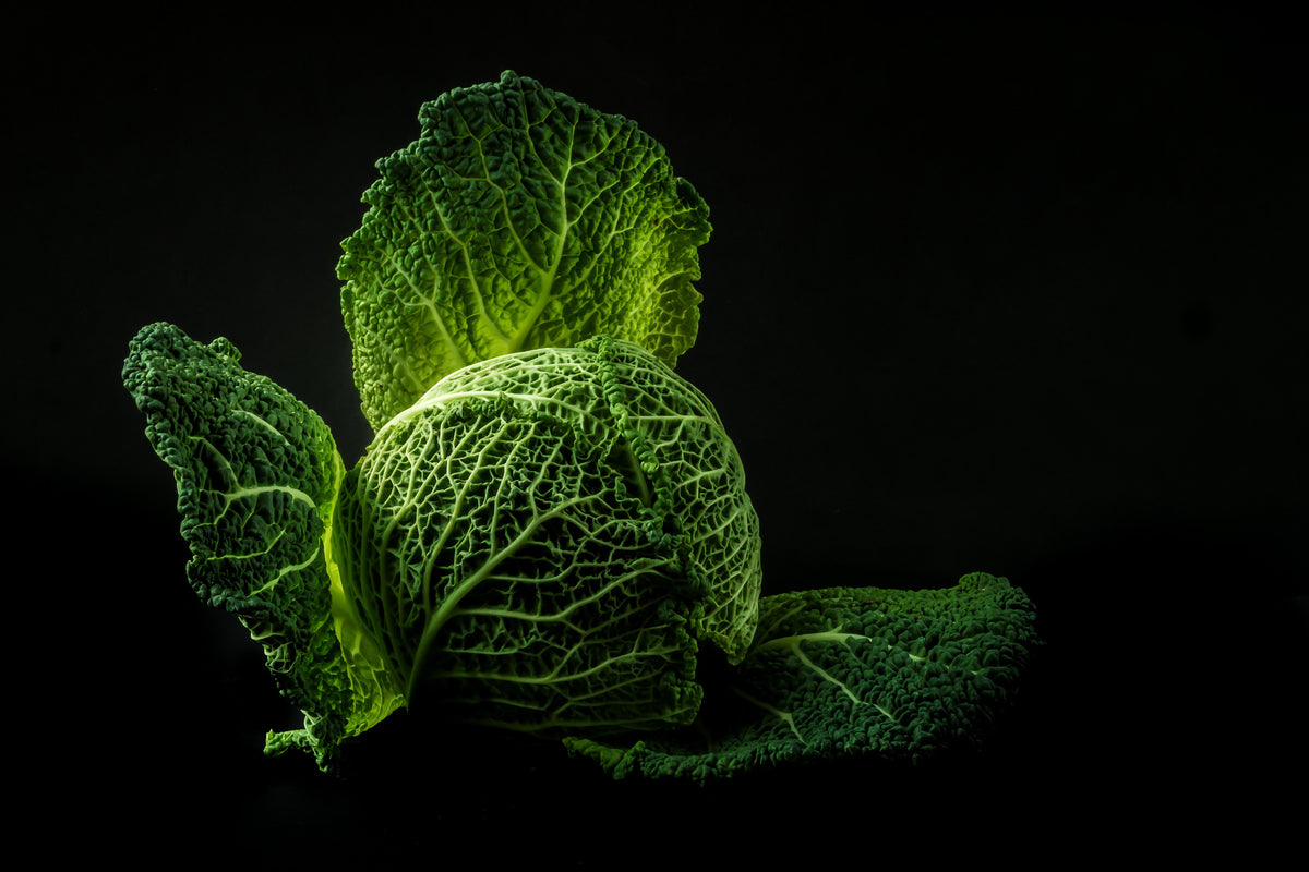 framedcanvas-print-the-cabbage