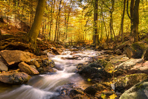 modern-3-piece-canvas-print-real-nature-beauty