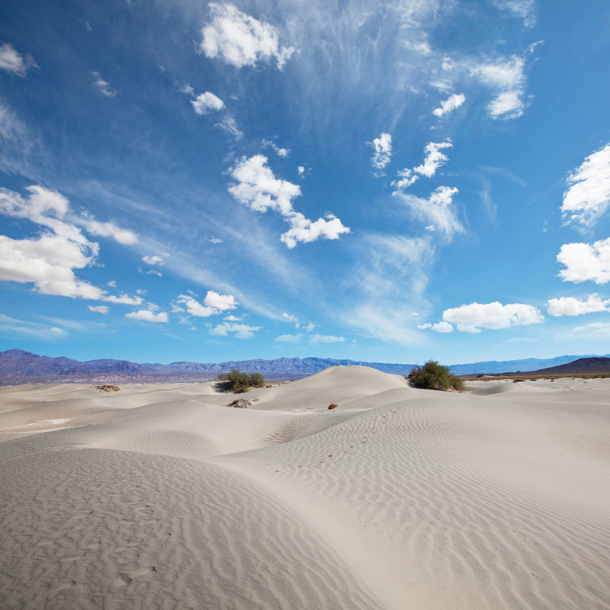9-piece-canvas-print-desert-landscape