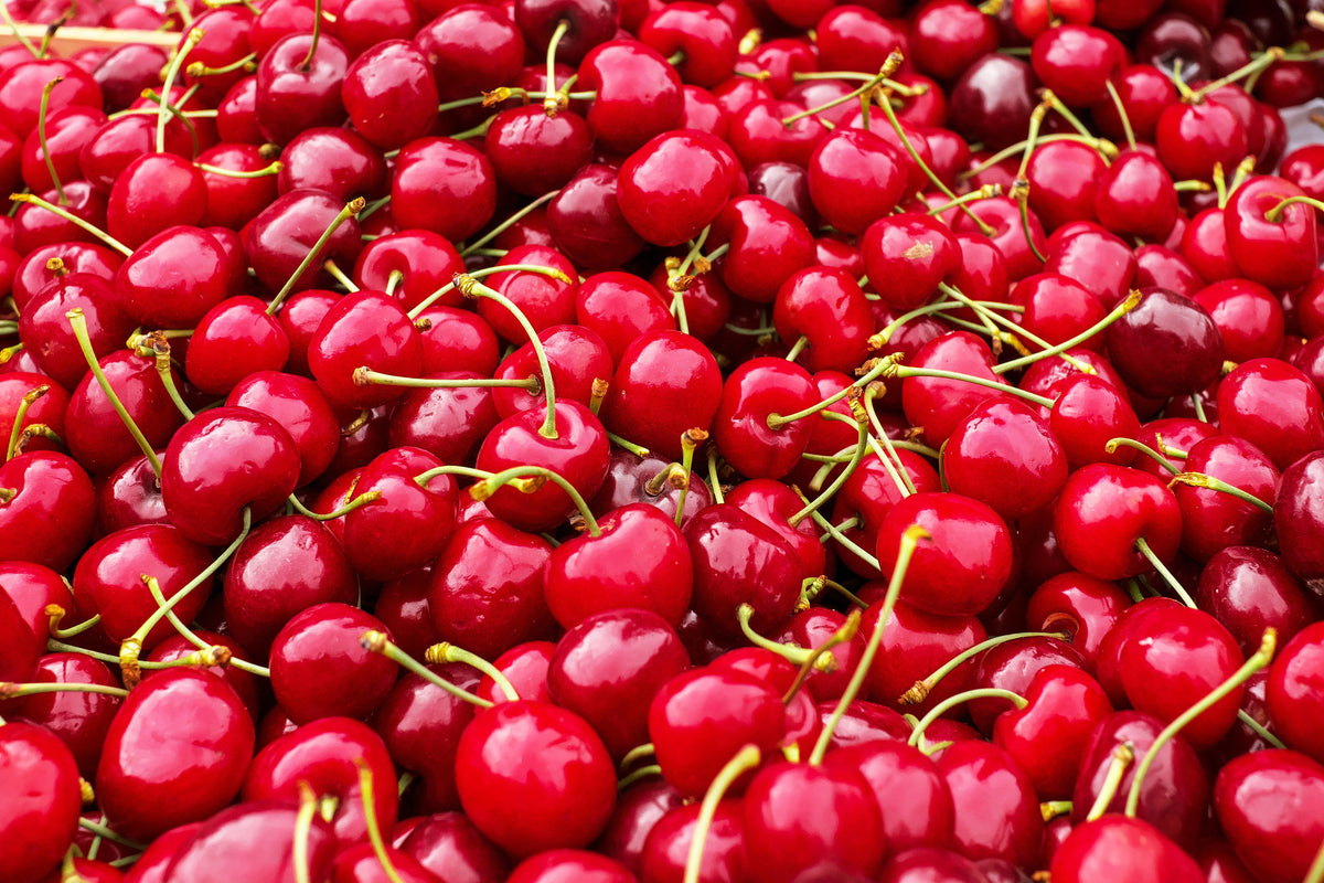 canvas-print-xl-cherries