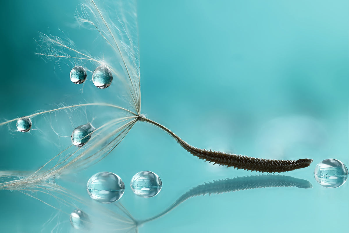 canvas-print-water-x