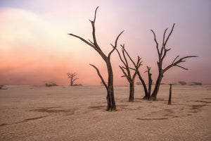 framedcanvas-print-fog-in-deadvlei