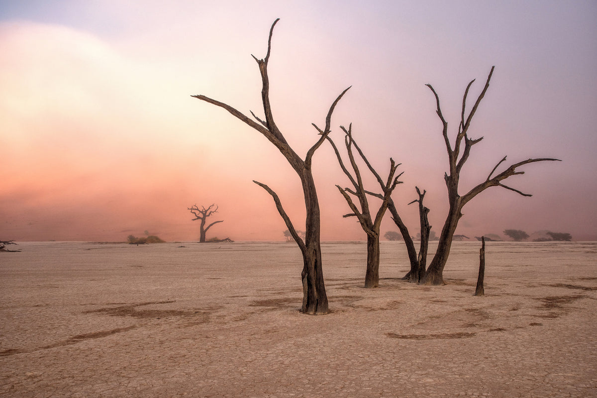 framedcanvas-print-fog-in-deadvlei
