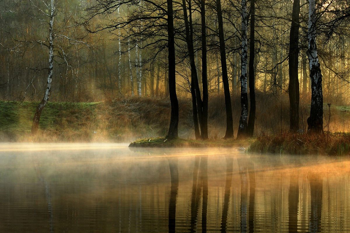 framedcanvas-print-silent-light-x