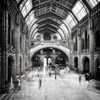 acrylic-print-natural-history-museum-of-london-x