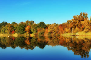framedposter-print-autumn-reflections