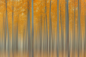 poster-print-autumn-delight-ii