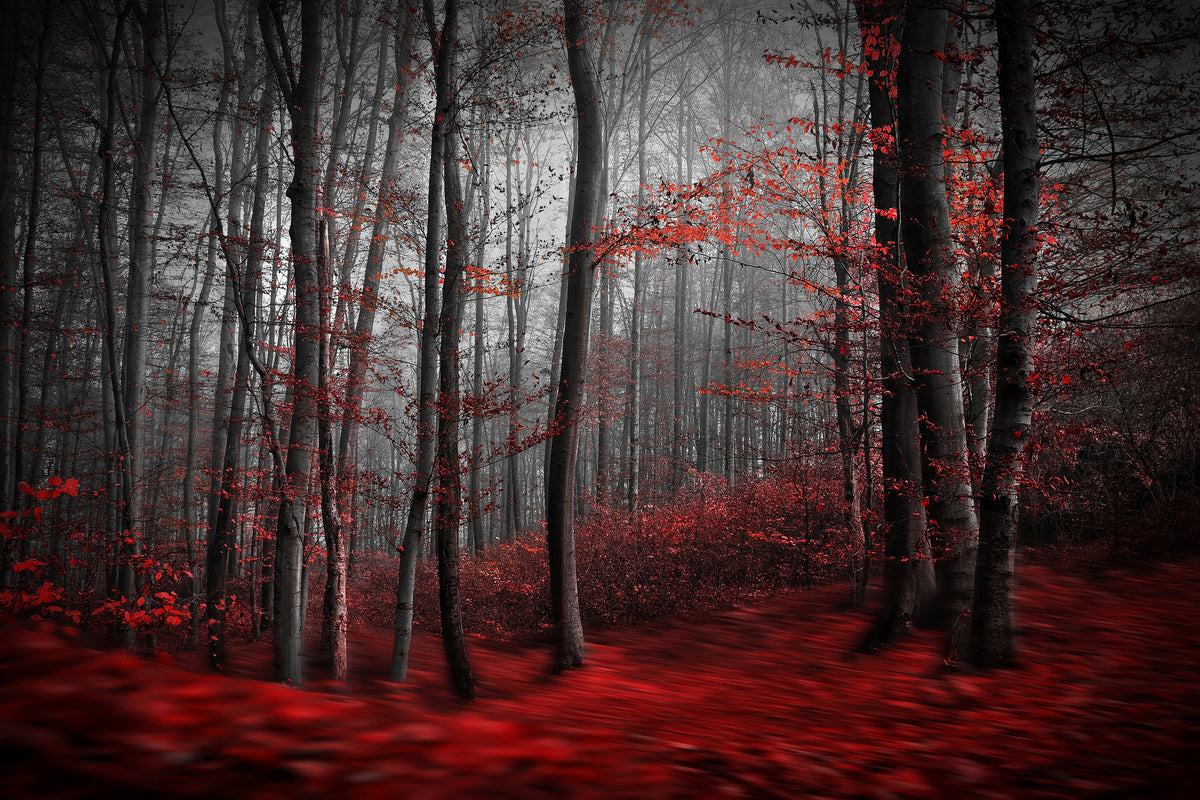 poster-print-bloody-river-x