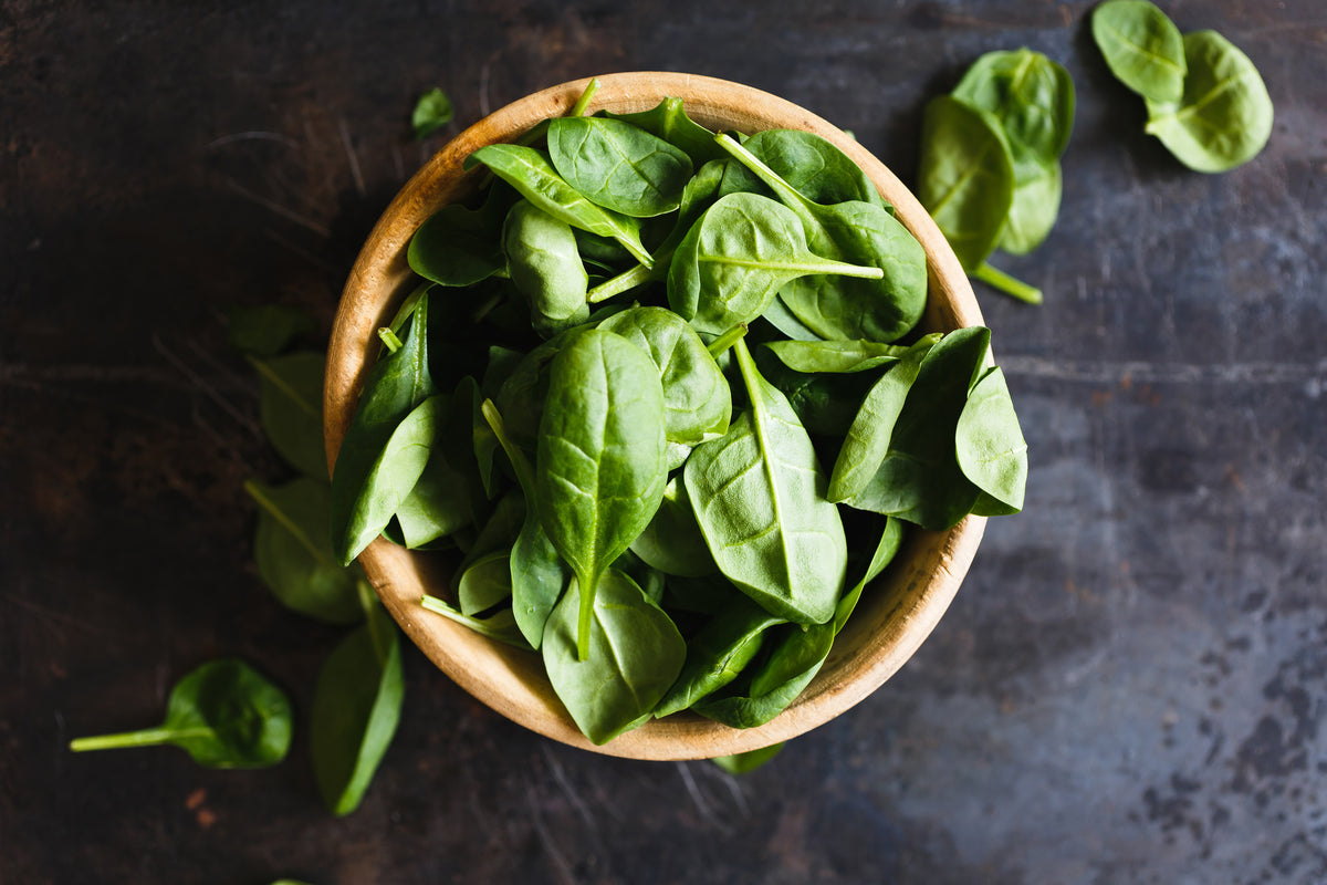 aluminium-print-leaves-of-basil-iii