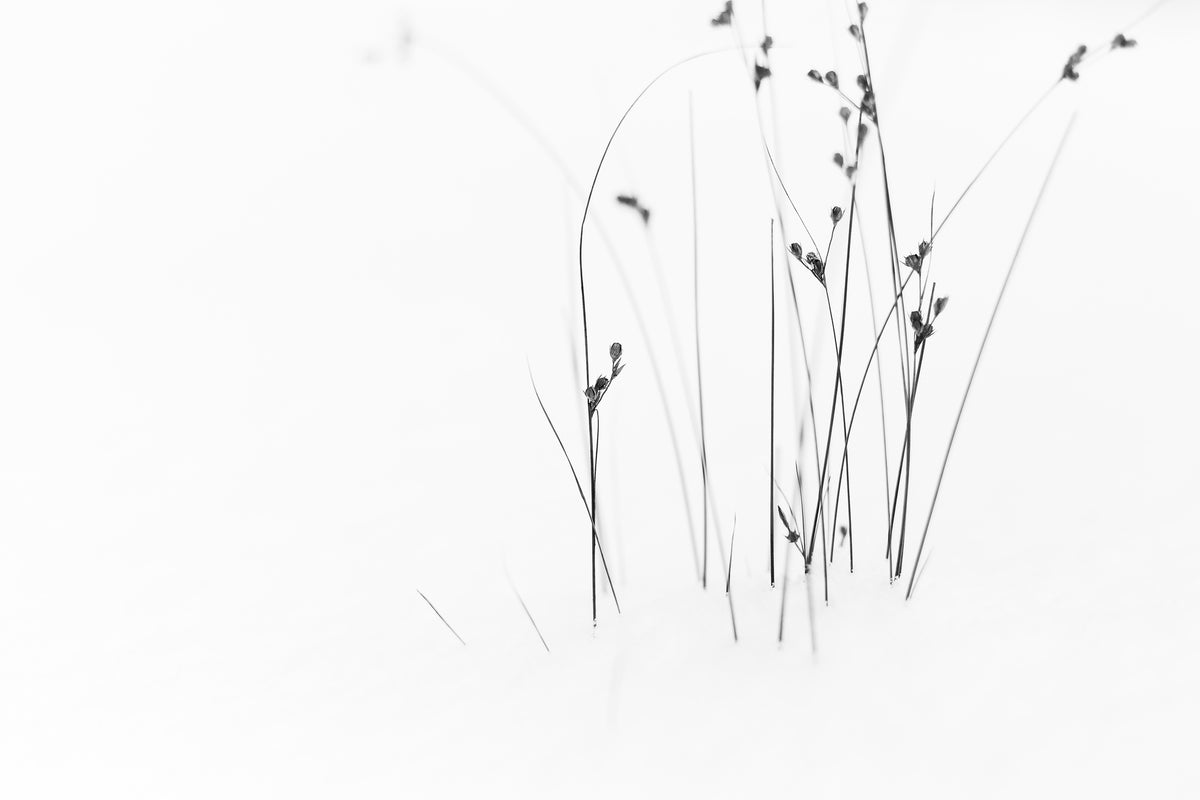 modern-3-piece-canvas-print-black-on-white