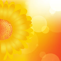 acrylic-print-sunflower-power-s