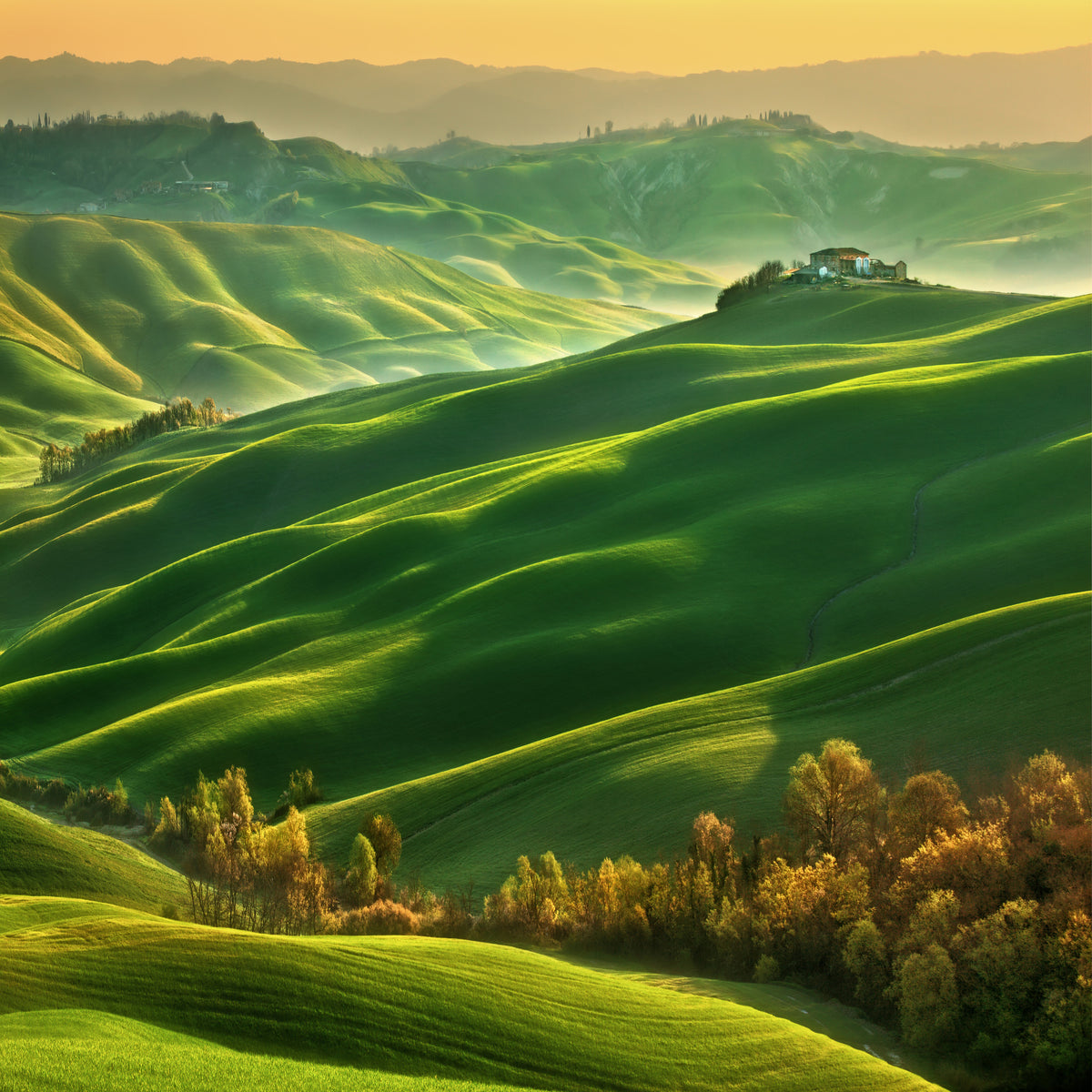 canvas-print-mucigliani