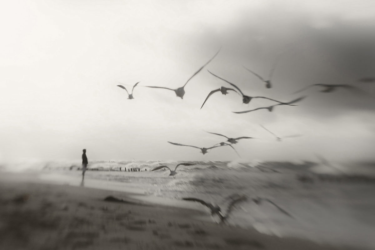 poster-print-quiet-dreams-x