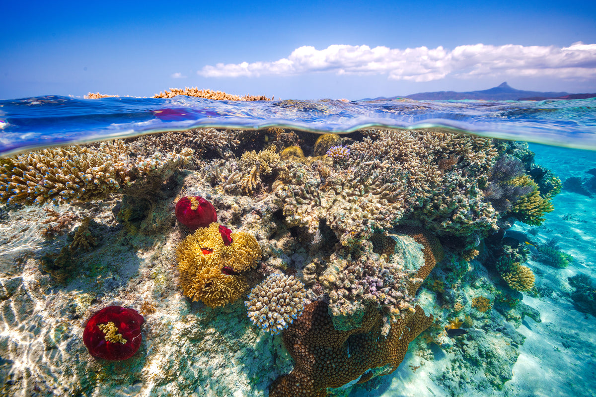 framedposter-print-mayotte-the-reef