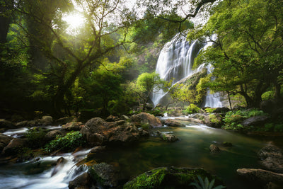poster-print-mountain-stream