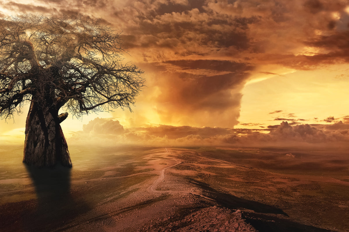 canvas-print-cyclone-in-the-sunset