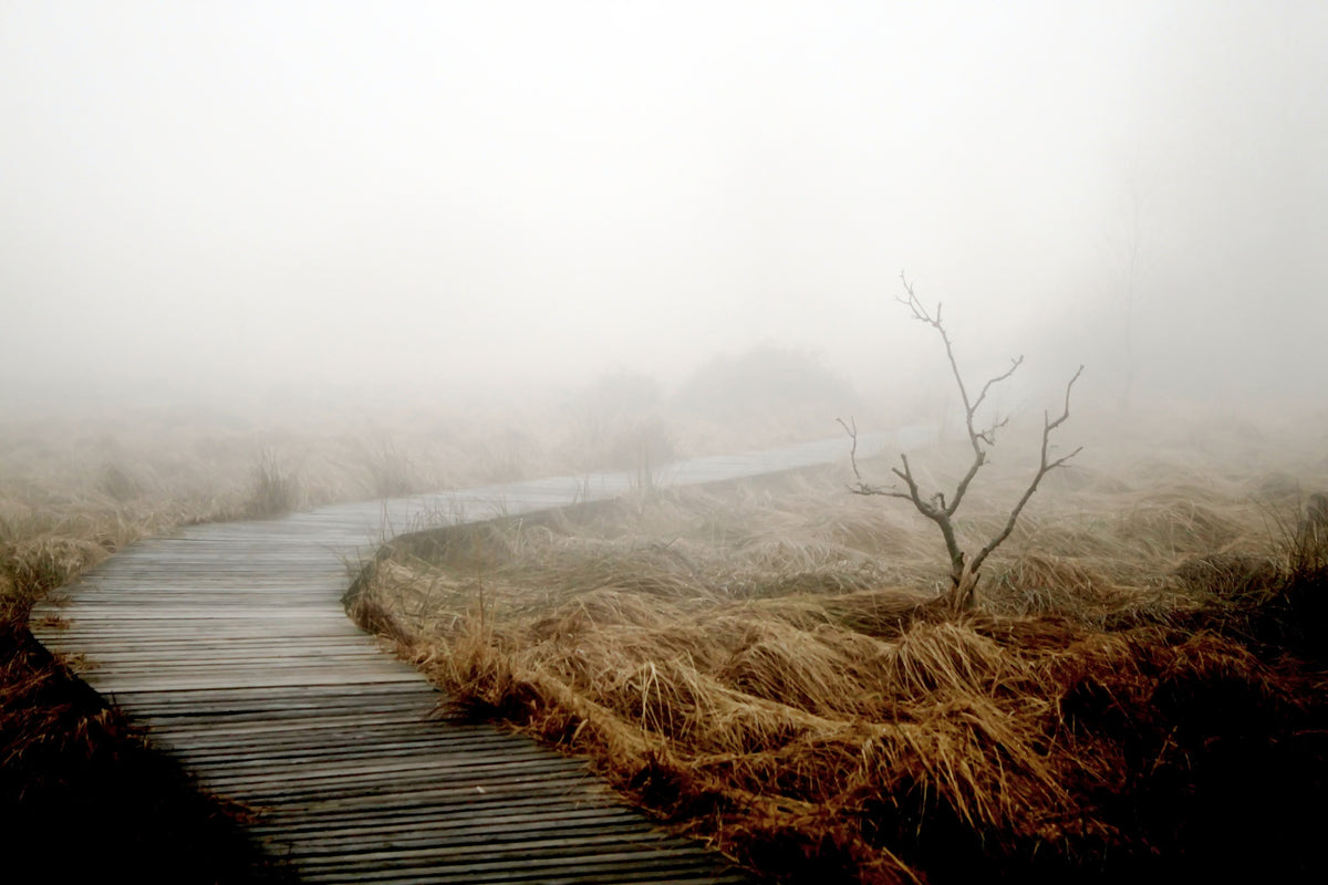canvas-print-dense-fog