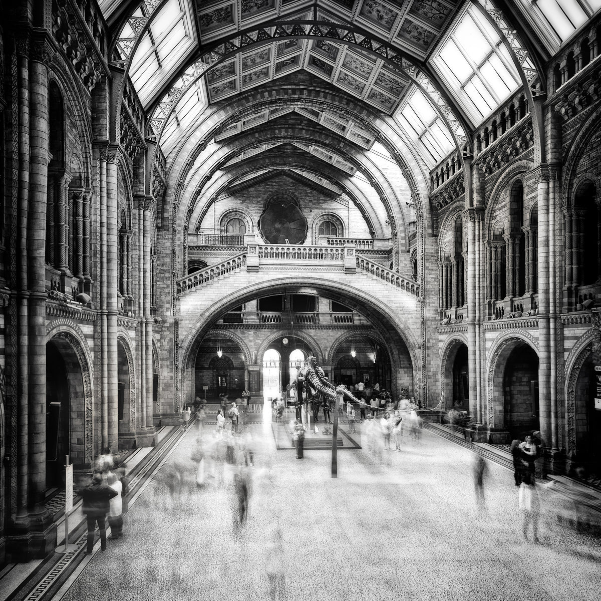 aluminium-print-natural-history-museum-of-london-x