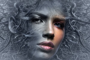 aluminium-print-fantasy-face
