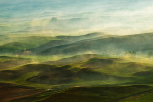acrylic-print-golden-morningpalouse-x