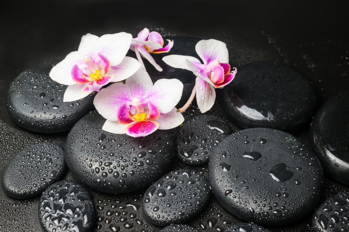 acrylic-print-feng-shui-orchid-zen
