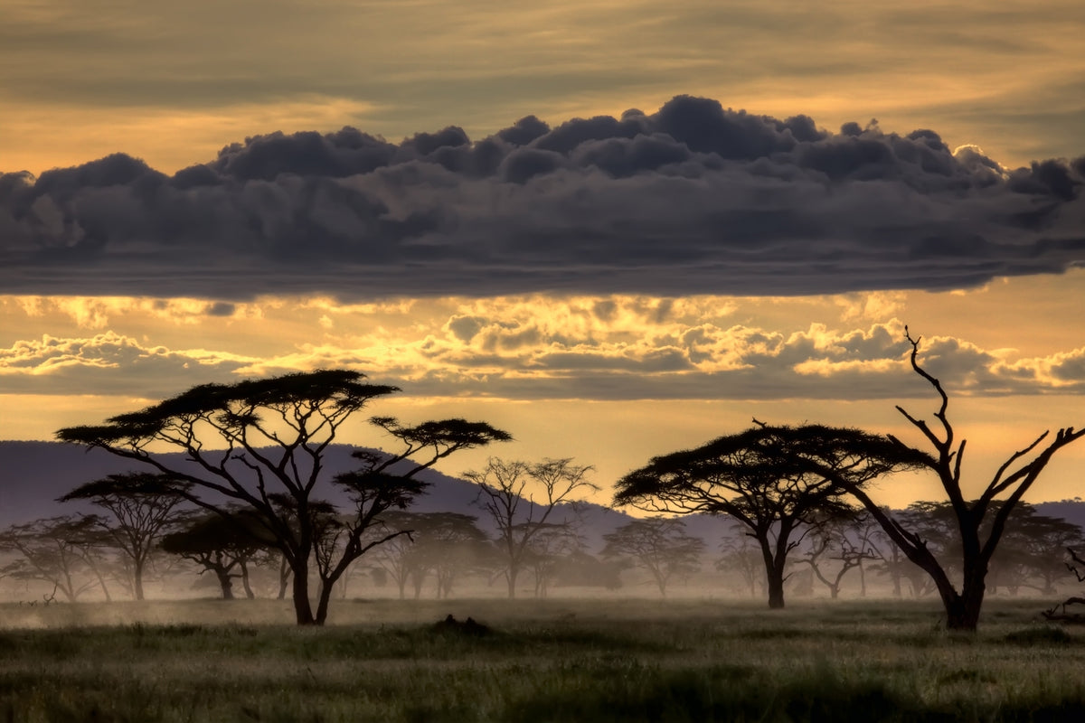 3-piece-acrylic-print-good-evening-tanazania