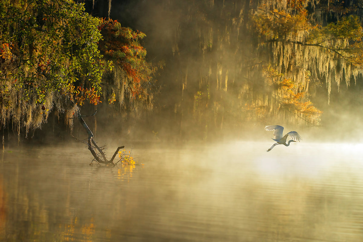 3-piece-canvas-print-egret