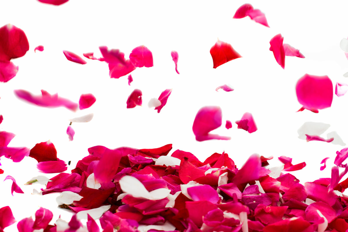 framedposter-print-let-it-rain-red-roses-for-me