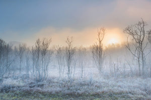 3-piece-canvas-print-a-touch-of-winter