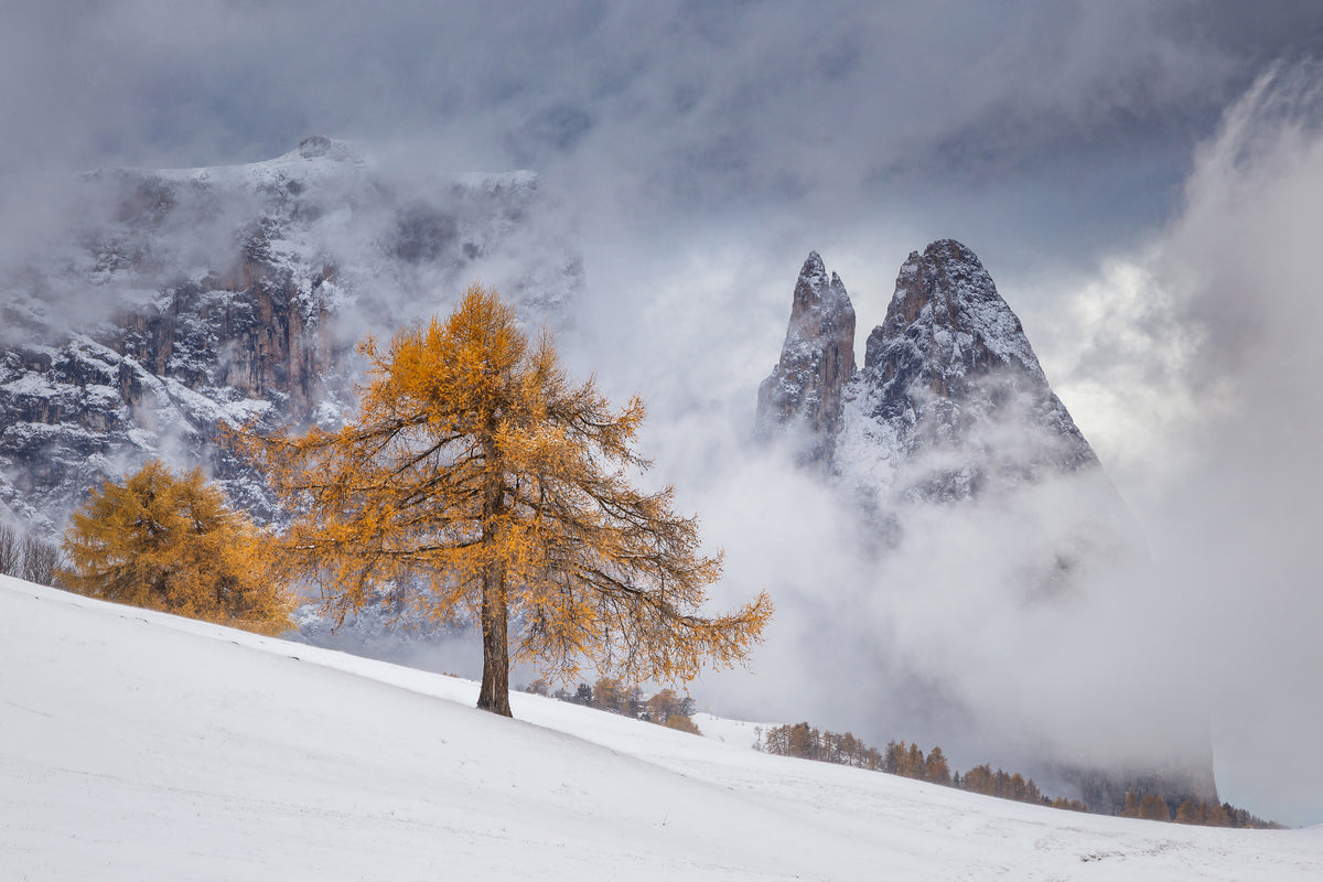 aluminium-print-between-seasons-x