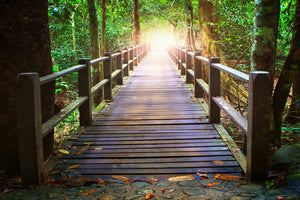 3-piece-aluminium-print-the-bridge-in-the-forest