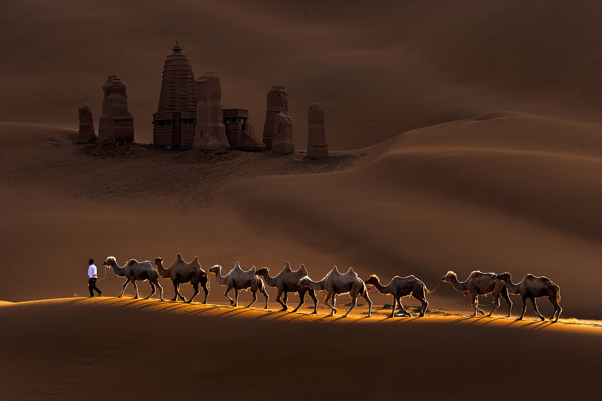 modern-3-piece-acrylic-print-castle-and-camels