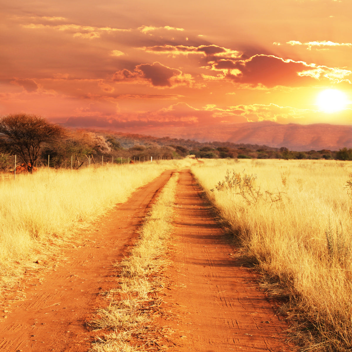 9-piece-canvas-print-dusk-in-kenya