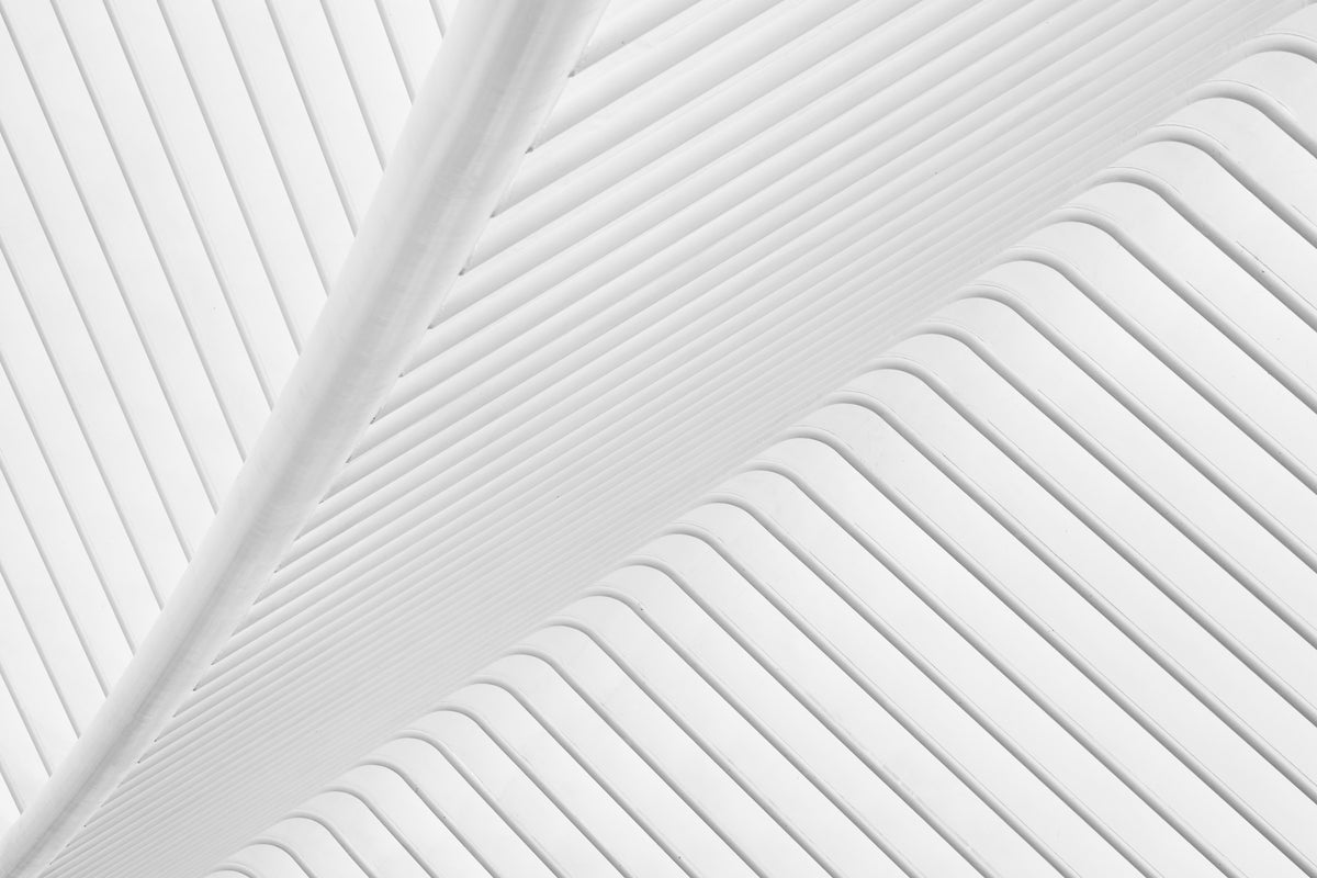 poster-print-canopy