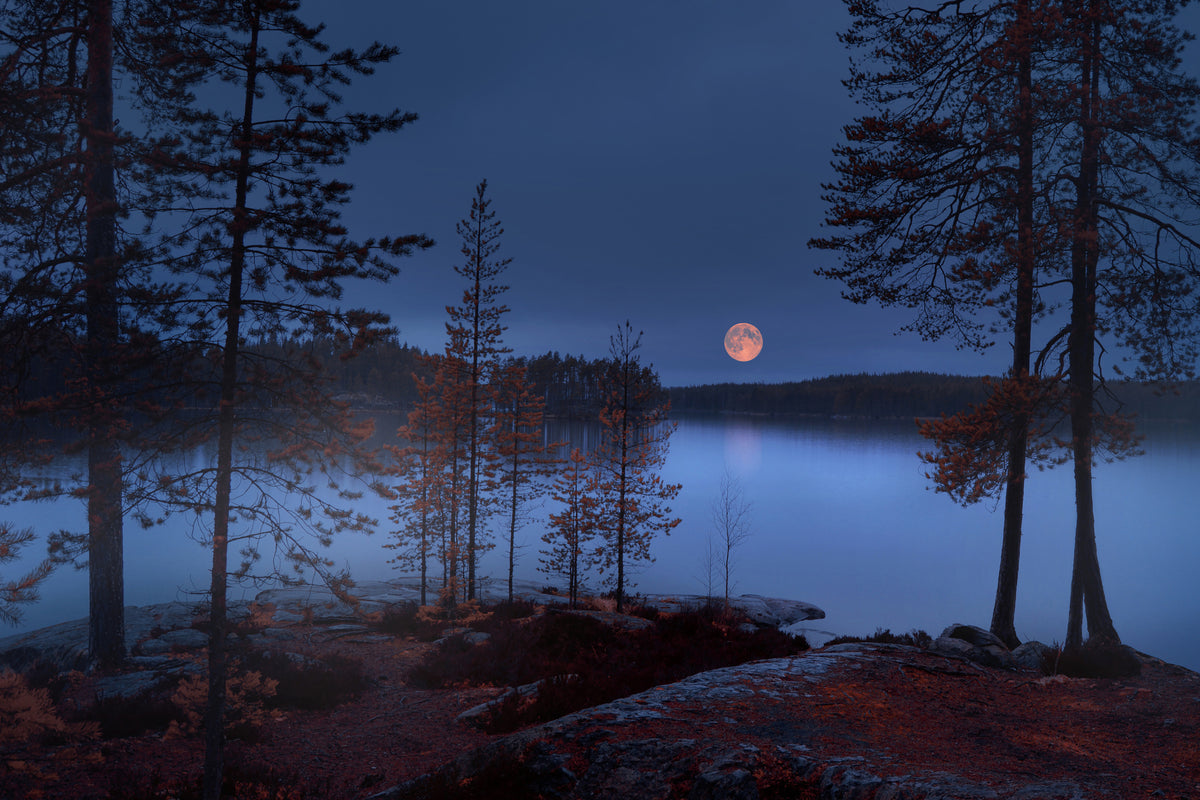acrylic-print-red-moon-x
