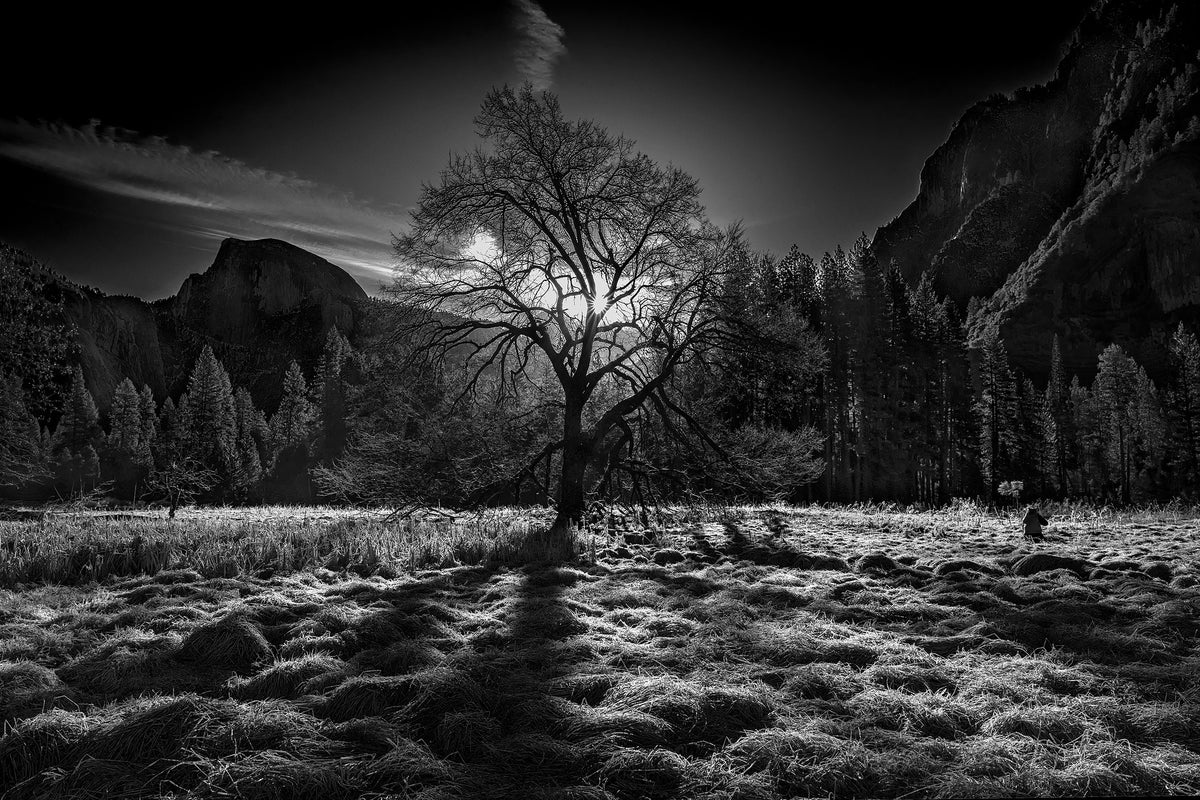 framedposter-print-the-winter-spirit