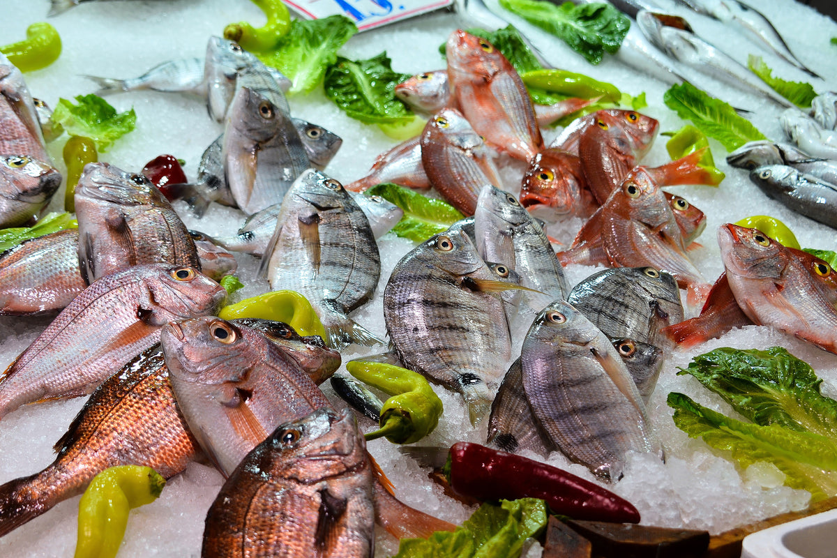 aluminium-print-raw-fish