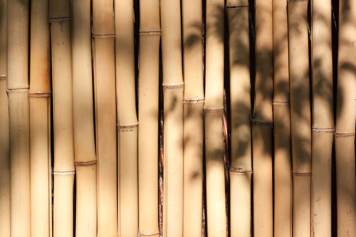 3-piece-canvas-print-natural-bamboo