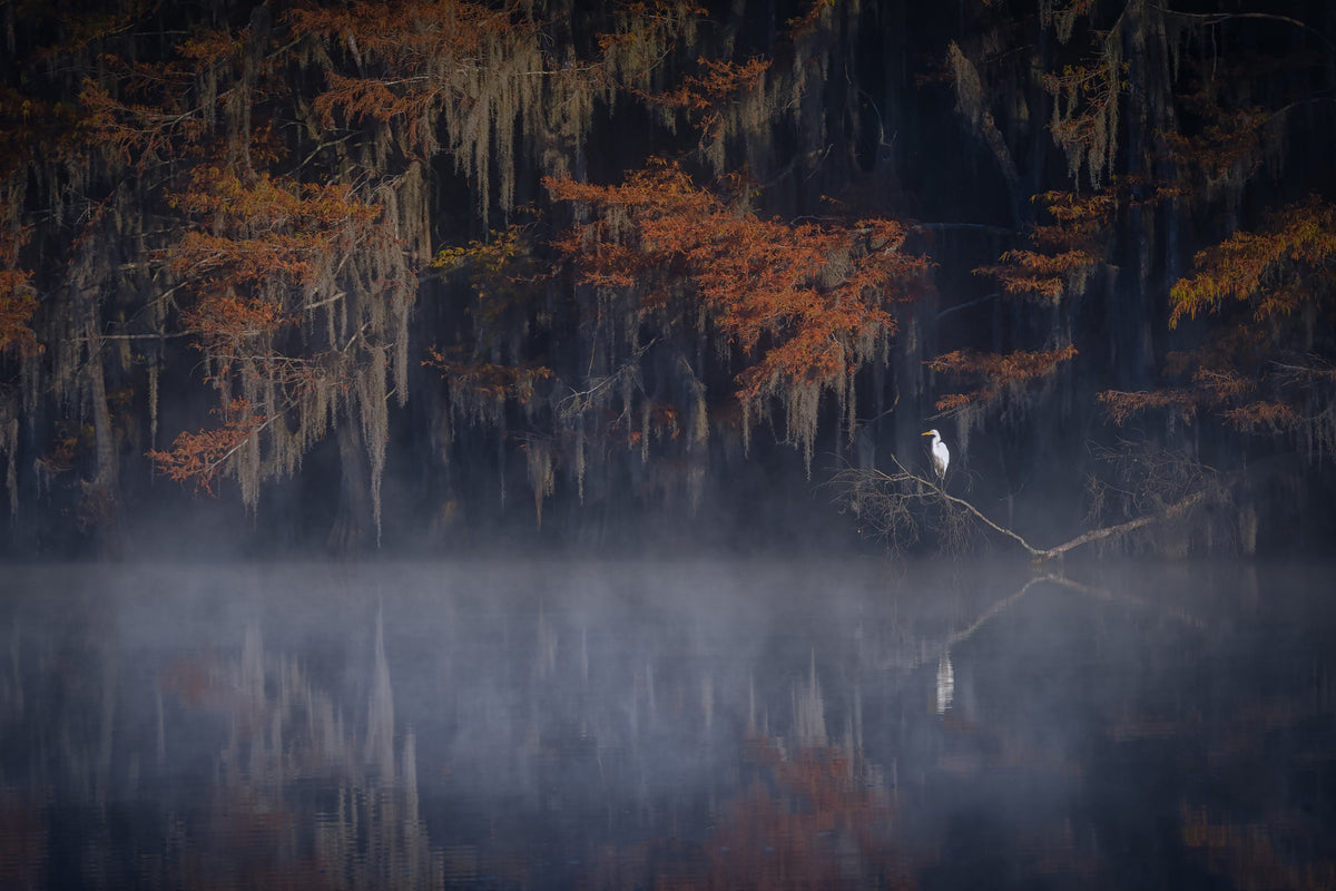 acrylic-print-misty-morning-xzt