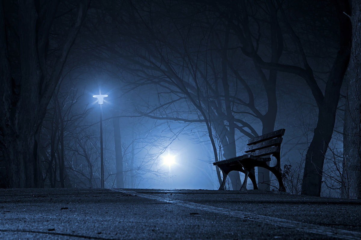 aluminium-print-at-night-in-the-park