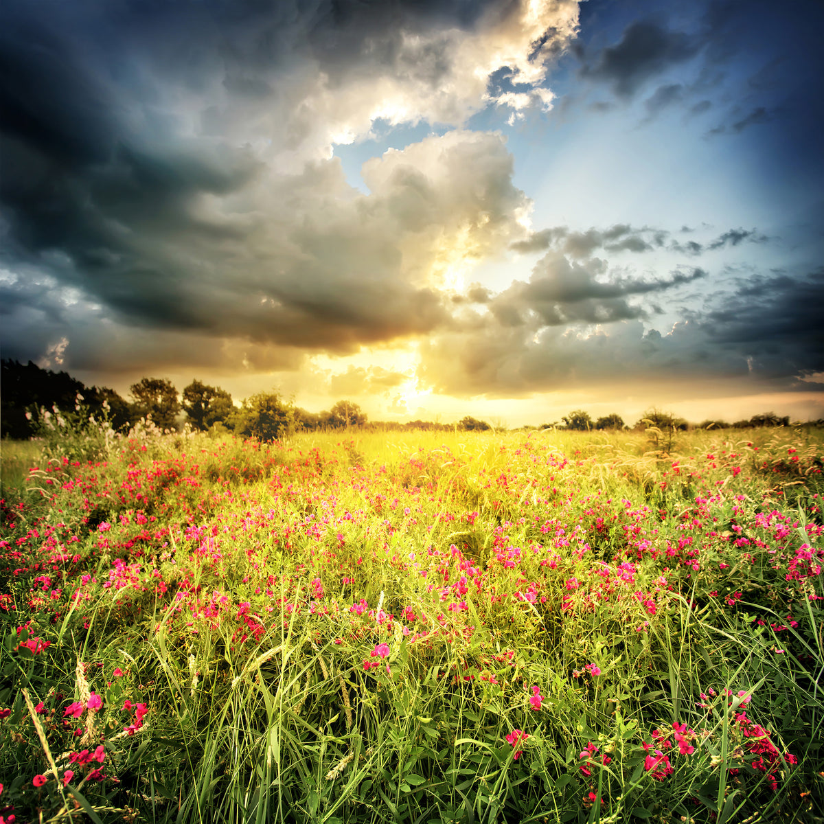 9-piece-acrylic-print-flowers-landscape