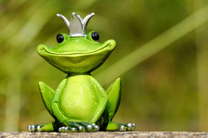 canvas-print-mr-frog-king